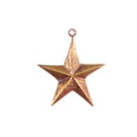 Star Decorative Tassel /TAG