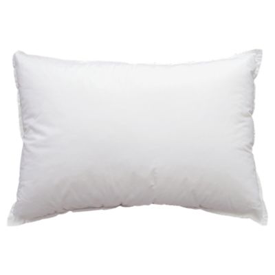 20 by 30 pillow