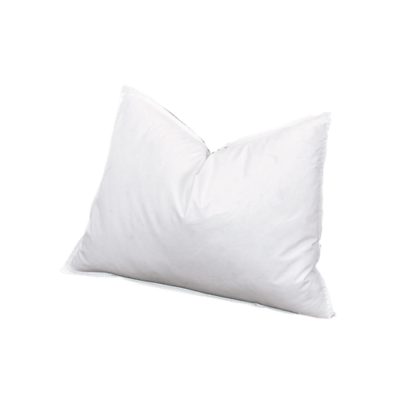 75 feather 25 down pillow hotsell