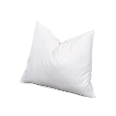 10 x 16 pillow insert best sale