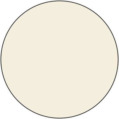 Ivory White